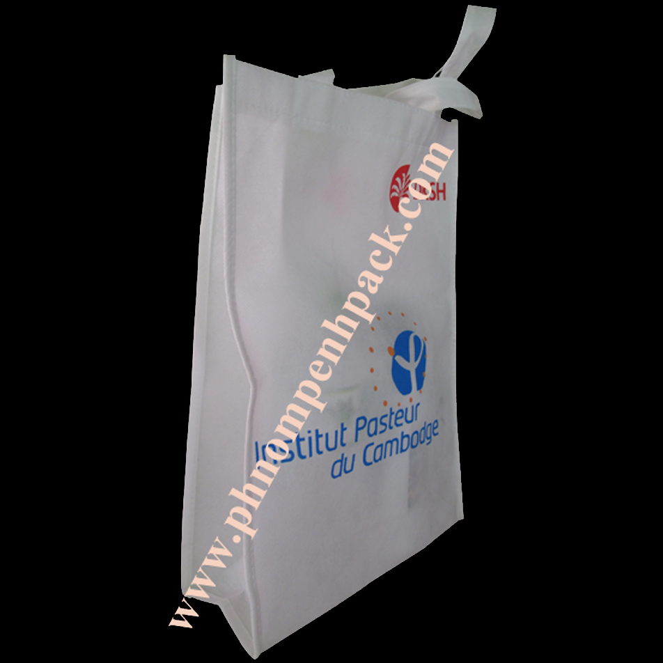 Eco Bag